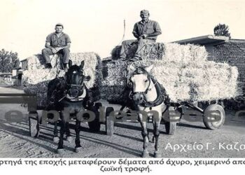 Τα άλογα στην γεωργοκτηνοτροφική Πτολεμαϊδα  του παρελθόντος, 1912-1970; – Από την στήλη του κ. Γ. Καζαντζή στον Παλμό 22/02/2017