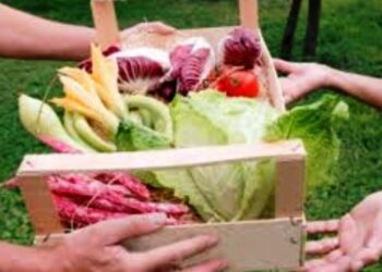 ΑΡΣΙΣ Κοζάνης: Κάλεσμα για τη δημιουργία ομάδας Κοινωνικά Υποστηριζόμενης Γεωργίας