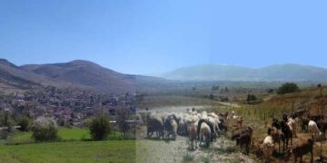 Δήμος Εορδαίας: Κατασκευάζει ποτίστρες στην Ερμακιά