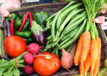 ΑΡΣΙΣ Κοζάνης: Υποβολή αιτήσεων καταναλωτριών/των για συμμετοχή στην 1η Ομάδα Κοινωνικά Υποστηριζόμενης Γεωργίας Κοζάνης