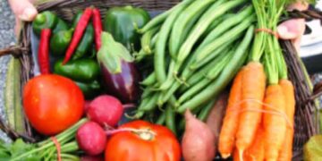 ΑΡΣΙΣ Κοζάνης: Υποβολή αιτήσεων καταναλωτριών/των για συμμετοχή στην 1η Ομάδα Κοινωνικά Υποστηριζόμενης Γεωργίας Κοζάνης