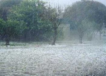 Άμεση αποζημίωση απαιτούν οι πληγέντες αγρότες του Βελβεντού – Στα χαλαζοχτυπημένα χωράφια ο προϊστάμενος του ΕΛΓΑ Δυτ. Μακεδονίας