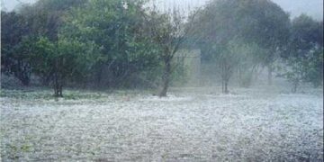 Άμεση αποζημίωση απαιτούν οι πληγέντες αγρότες του Βελβεντού – Στα χαλαζοχτυπημένα χωράφια ο προϊστάμενος του ΕΛΓΑ Δυτ. Μακεδονίας