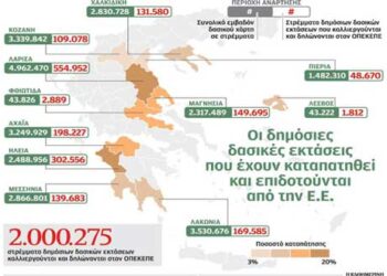 Δημόσια δασική γη επιδοτείται ως αγροτική