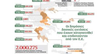 Δημόσια δασική γη επιδοτείται ως αγροτική
