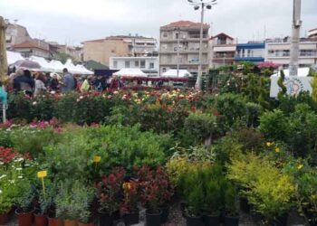 Δήλωση του Αντιδημάρχου Ποιότητας Ζωής Γ. Χαϊτίδη για την ανθοκομική Πτολεμαΐδας