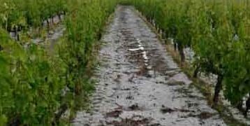 Χαριστική βολή στις καλλιέργειες των Πύργων Εορδαίας έδωσε η νέα χαλαζόπτωση – Μεγάλες καταστροφές και σε περιοχές του Αμυνταίου