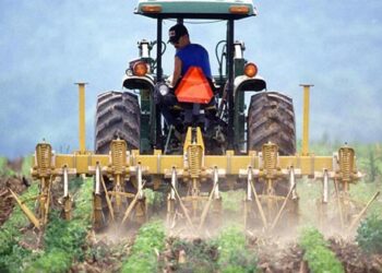 Αγροτικές επενδύσεις: Ποιες καλλιέργειες επιδοτούνται έως και 75%