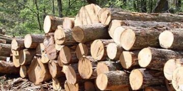 Νέα παράταση προθεσμίας για την εγγραφή στα Περιφερειακά Μητρώα «Φορέων Εκμετάλλευσης και Εμπόρων» του Καν. Ξυλείας ΠΕ Κοζάνης