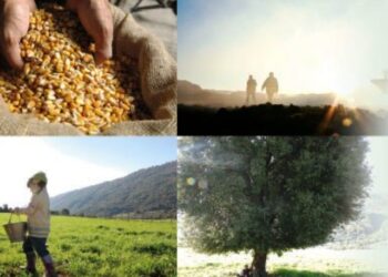 Συμφωνία της Τράπεζας Πειραιώς για Συμβολαιακή Γεωργία με τον «Αγροτικό συνεταιρισμό επεξεργασίας & πώλησης οπωροκηπευτικών προϊόντων Βελβεντού Κοζάνης»