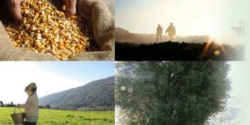 Συμφωνία της Τράπεζας Πειραιώς για Συμβολαιακή Γεωργία με τον «Αγροτικό συνεταιρισμό επεξεργασίας & πώλησης οπωροκηπευτικών προϊόντων Βελβεντού Κοζάνης»