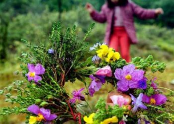 Πρωτομαγιά με ηλιοφάνεια, ζέστη, αλλά και μπόρες – Πού θα βρέξει