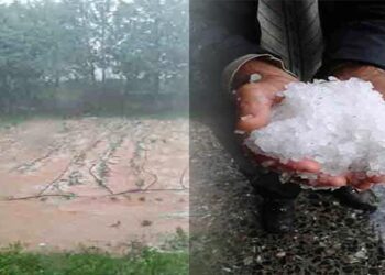 Κοινοβουλευτική παρέμβαση του ΚΚΕ για τις ζημιές από χαλαζόπτωση σε Πύργους και Μεσόβουνο