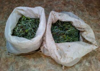 Κατασχέθηκαν 16 κιλά τσαγιού στη Φλώρινα