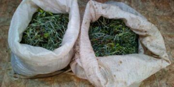 Κατασχέθηκαν 16 κιλά τσαγιού στη Φλώρινα