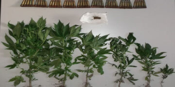 Σύλληψη 45χρονου σε περιοχή των Γρεβενών για κατοχή ναρκωτικών και όπλων