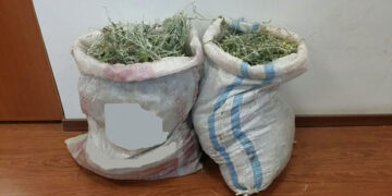 Φλώρινα: Συνελήφθησαν δυο άτομα για παράβαση της δασικής νομοθεσίας – Είχαν συλλέξει πάνω από 8 κιλά τσάι βουνού