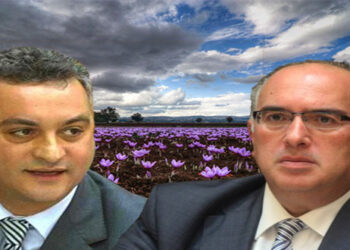 Στήριξη των κροκοπαραγωγών της Κοζάνης από την Ε.Ε. – Ζητά με ερώτησή του ο Ευρωβουλευτής της ΝΔ, Μ. Κεφαλογιάννης με παρέμβαση Μ. Παπαδόπουλου