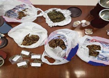 Κοζάνη: Σύλληψη δύο ατόμων για κατοχή και διακίνηση ναρκωτικών