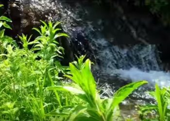 Στις Δροσερές πηγές του Σνιάτσκου και των Ναμάτων (βίντεο)