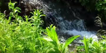 Στις Δροσερές πηγές του Σνιάτσκου και των Ναμάτων (βίντεο)