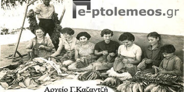 Ο καπνός το Βασικό στήριγμα του αγρότη, στη γεωργοκτηνοτροφική, Πτολεμαϊδα-Εορδαία, του παρελθόντος… – Από την στήλη του κ. Γ. Καζαντζή στον Παλμό 26/07/2017