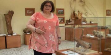 Grevenobos antiquus – Νέα παγκόσμια ανακάλυψη στα Γρεβενά