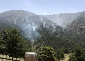 Υπό μερικό έλεγχο η πυρκαγιά στη Σαμαρίνα – Πεζοπόρα τμήματα στη μάχη της κατάσβεσης