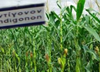 Μετ’ εμποδίων οι εργασίες του αγωγού TAP στο Αντίγονο Αμυνταίου – Αγρότες δεν αφήνουν τον εργολάβο να σκάψει σε σπαρμένα χωράφια