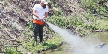 Ολοκληρώθηκε η πρώτη φάση της καταπολέμησης κουνουπιών στην Περιφέρεια Δυτικής Μακεδονίας