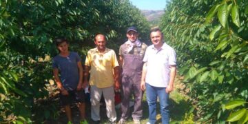 Γ. Κασαπίδης: Αντικίνητρο για την ανάπτυξη η υπερφορολόγηση της παραγωγικής δραστηριότητας που επέβαλε η Κυβέρνηση – Επίσκεψη στα κερασοχώρια του Δήμου Εορδαίας