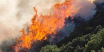 Γραφείο Πολιτικής Προστασίας Δήμου Κοζάνης: Πρόληψη δασικών χορτολιβαδικών πυρκαγιών