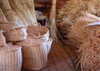 Βαρικό: Το χωριό της Φλώρινας που είναι γνωστό για την καλαθοπλεκτική και την καλλιέργεια ιτιόβεργας