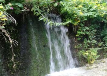 Ψήφισμα Λαϊκής συνέλευσης Βελβεντού για τη λειψυδρία και για άλλα προβλήματα καθημερινότητας