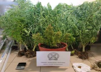 53χρονος καλλιεργούσε στο σπίτι του 26 δενδρύλλια κάνναβης