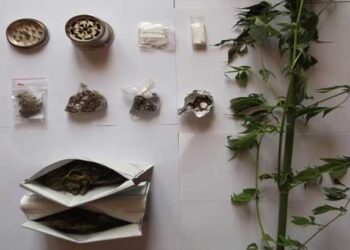 Γρεβενά: Συνελήφθη 51χρονος για καλλιέργεια και κατοχή κάνναβης