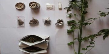 Γρεβενά: Συνελήφθη 51χρονος για καλλιέργεια και κατοχή κάνναβης