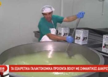 Τα εξαιρετικά γαλακτοκομικά του Βοΐου Κοζάνης με σημαντικές διακρίσεις και βραβεία (Βίντεο)