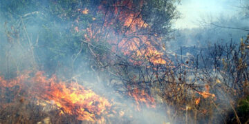 Οδηγίες από τη Γενική Γραμματεία Πολιτικής Προστασίας για αυτοπροστασία των πολιτών σε περίπτωση πυρκαγιάς