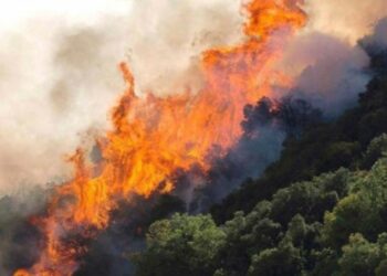 Κοζάνη: Πρόλαβαν επέκταση πυρκαγιάς σε δάσος στα Νάματα