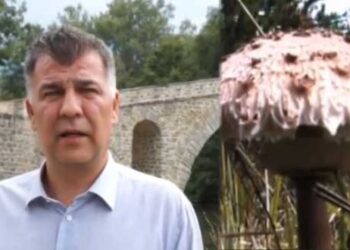 Ο Αντιπεριφερειάρχης Γρεβενών Β. Σημανδράκος για τη συλλογή μανιταριών – Πως θα γίνετε η πιστοποίηση των συλλεκτών (Βίντεο)