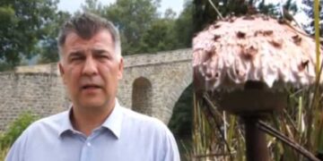 Ο Αντιπεριφερειάρχης Γρεβενών Β. Σημανδράκος για τη συλλογή μανιταριών – Πως θα γίνετε η πιστοποίηση των συλλεκτών (Βίντεο)