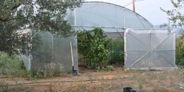 Θεσσαλονίκη: Εντοπίστηκε εργαστήριο υδροπονικής κάνναβης στους Ταγαράδες – Παρασκεύαζαν από χασισέλαιο μέχρι “σοκολάτα” (Φωτογραφίες)