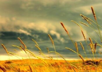 Αλωνάρτς – Η παράδοση κατά τον μήνα Αύγουστο στον Πόντο