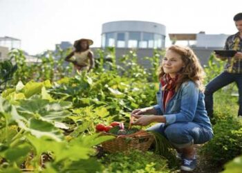 Νέο εκπαιδευτικό πρόγραμμα «Οικοτεχνία στον Αγροδιατροφικό τομέα», στην Αθήνα