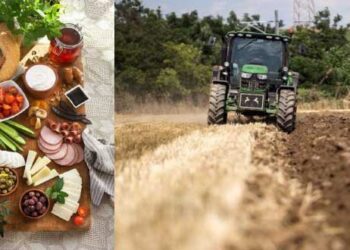 Τα προϊόντα αγροδιατροφής της Ελλάδας θα αποκτήσουν «Ελληνικό Σήμα» – Σημαντική ενίσχυση του εξαγωγικού προσανατολισμού τους