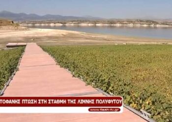 Ο πρόεδρος των αλιέων Ν. Κουρτίδης για τα προβλήματα που αντιμετωπίζουν οι αλιείς της περιοχής, λόγω της χαμηλής στάθμη της λίμνης Πολυφύτου (Βίντεο)