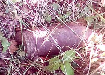 Περισυλλέχθηκε με ασφάλεια οβίδα από δασική περιοχή μεταξύ Βλάστης – Αναρράχης