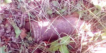 Περισυλλέχθηκε με ασφάλεια οβίδα από δασική περιοχή μεταξύ Βλάστης – Αναρράχης