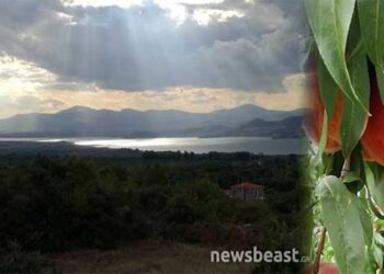 Βελβεντός: Το «μαγεμένο οικόπεδο» της Ελλάδας, που ζει από το ροδάκινο